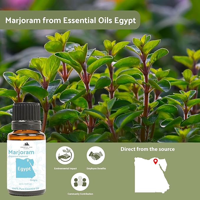 Nature Packaged Marjoram Essential Oil - Aceite de Mejorana Direct from Egypt for Massage & Aromatherapy | Premium Therapeutic Grade (2lbs)