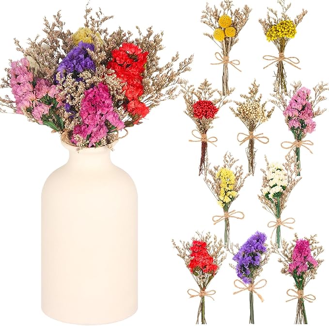 10 Pack Forget Me Not Dried Flowers Bouquets Natural Dry Flower with Stem Mini Dried Embossing Flower Dry Floral Arrangement for Vase, Crafts, Table Centerpieces, DIY, Photo Prop, Wedding, Home Decor