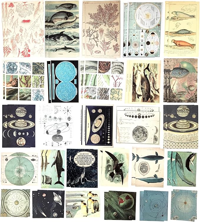 Esweny 200 Pieces Vintage Ephemera Scrapbooking Supplies Pack for Journaling, Decoupage Paper Scrapbook Stickers Kit for Junk Journal Planners Collage Craft Notebooks Album (Space and Sea)