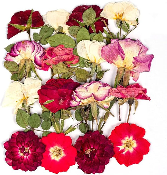 16 Pcs Dried Pressed Flowers, Nauture Pressed Rose, Multi Color Dry Rose, Real Pressed Flora for DIY Jewelry Candle Soap Vase Making Nail Card Scrapbook Art Craft Floral Decors