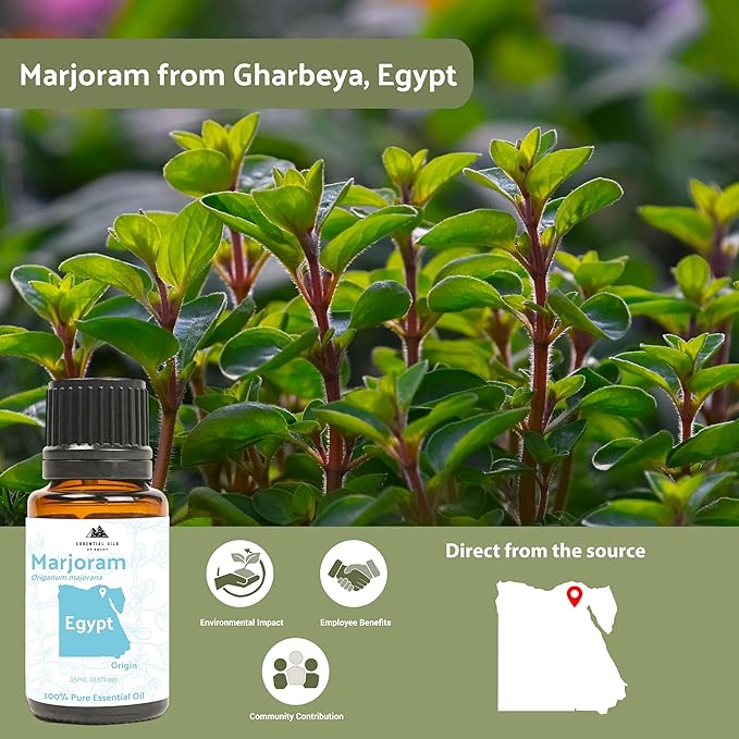 Nature Packaged Marjoram Essential Oil - Aceite de Mejorana Direct from Egypt for Massage & Aromatherapy | Premium Therapeutic Grade (8oz)