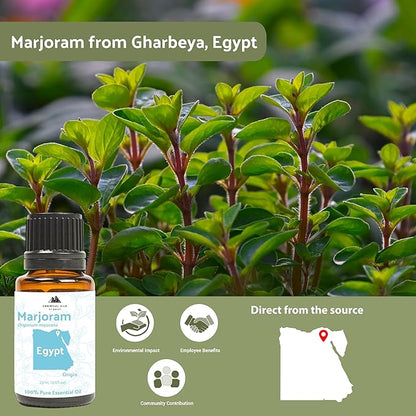 Nature Packaged Marjoram Essential Oil - Aceite de Mejorana Direct from Egypt for Massage & Aromatherapy | Premium Therapeutic Grade (8oz)