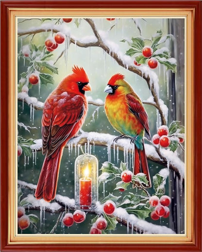 Findvoor Stamped Cross Stitch Kits for Beginner Embroidery Kits for Beginners Adults DIY 11CT Cross Stitch Patterns Needlepoint Kits Crossstitching Kits-Little Bird Snow Scene 16x20 inch