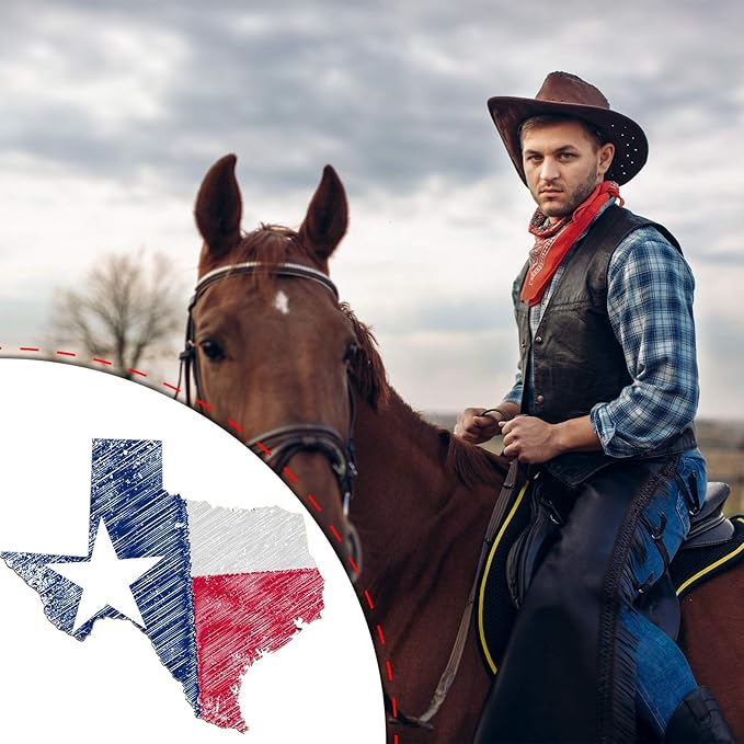 BBTO 3 Pack Texas Unfinished Wood Cutouts US State 10" Wood Slices Wooden Paint Crafts Christmas Ornaments Pieces for Home Decor Ornament DIY Craft Art Project