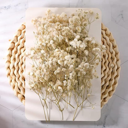 Fumete 50 Pcs Christmas Mini Dried Baby Breath Flowers Wedding Ivory Natural Flowers Bulk Dried Gypsophila for Vase Bride Shower Invitation Card DIY Candle Making Decor Craft Party Resin Art, 2-4 in