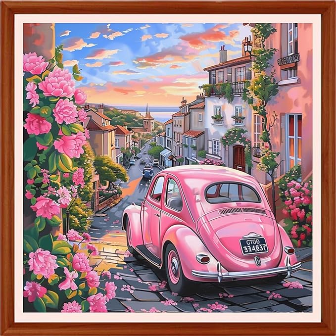 Foxhool Stamped Cross Stitch Kits,11CT Printed Cross Stitch Pattern Full Embroidery Kits for Beginner Needlepoint Kits&Flower Street Scenery 18x18 inchs