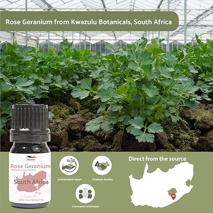 Nature Packaged Rose Geranium Essential Oil - Direct from Kwazulu Botanicals in South Africa- Organic Essential Oils for Body, Diffusers, or Aromatherapy | Pure Therapeutic Grade (5ml)