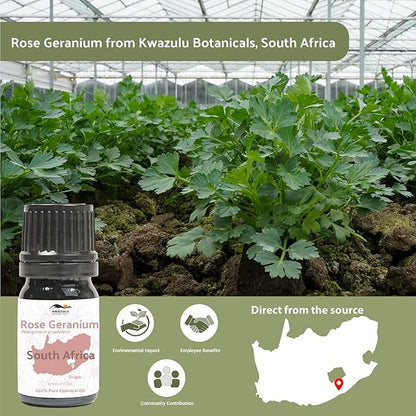 Nature Packaged Rose Geranium Essential Oil - Direct from Kwazulu Botanicals in South Africa- Organic Essential Oils for Body, Diffusers, or Aromatherapy | Pure Therapeutic Grade (5ml)