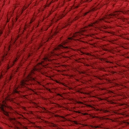 Lion Brand Yarn, Hue + Me Chunky Yarn for Crocheting, Knitting, and Crafts, Framboise, 3 Pack