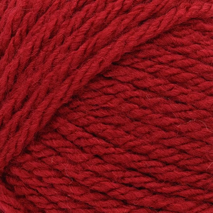 Lion Brand Yarn, Hue + Me Chunky Yarn for Crocheting, Knitting, and Crafts, Framboise, 1 Pack