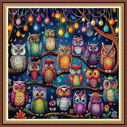 DMCVIVR Stamped Cross Stitch Kits for Adults Beginners Embroidery Kits 11CT Needlepoint Kits Cross Stitch Patterns Embroidery Patterns-Colorful Owl 18x18 inch