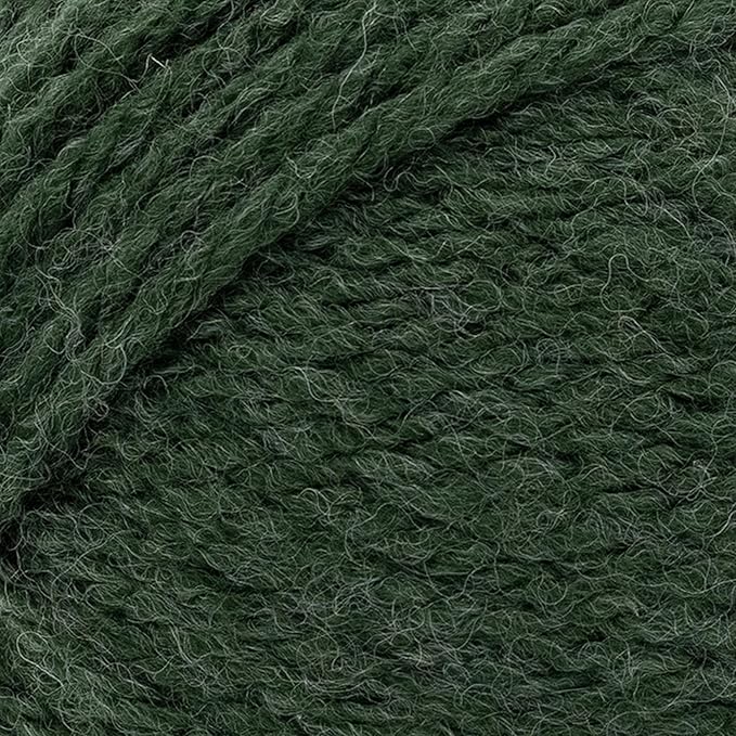 Lion Brand Yarn, Hue + Me Chunky Yarn for Crocheting, Knitting, and Crafts, Night Forest, 1 Pack