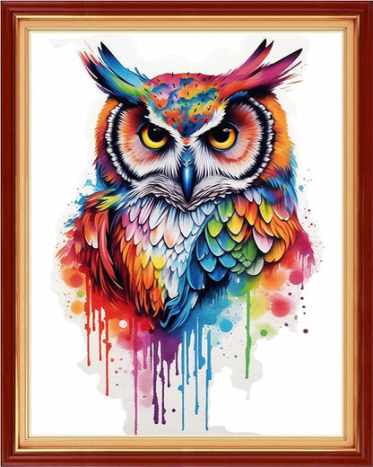 DMCVIVR Stamped Cross Stitch Kits for Beginners Adults Needlepoint Kits for Beginners Embroidery Kits for Adults Crossstitch Kit for Beginners 11CT-Colorful Owl 16x20 inch