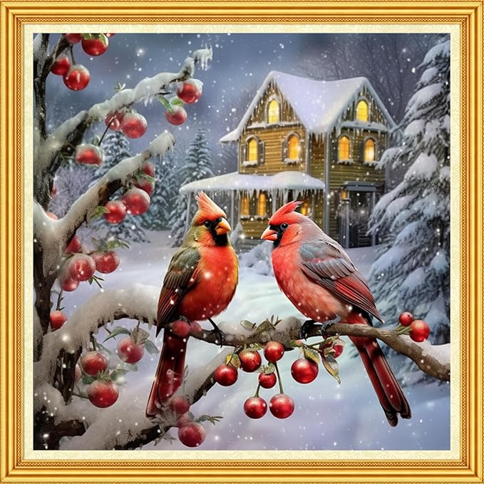 Foxhool Stamped Cross Stitch Kits,11CT Printed Cross Stitch Pattern Full Embroidery Kits for Beginner Needlepoint Kits-Little Bird Snow Scene 18x18 inch