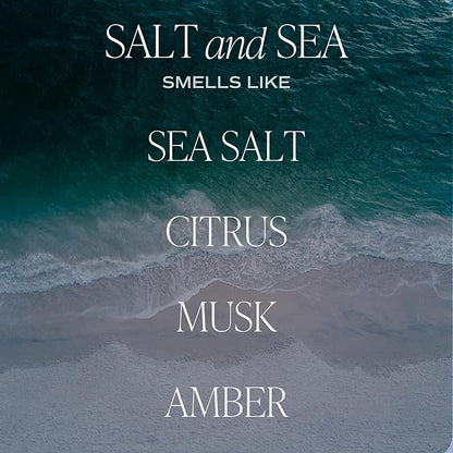 Sweet Water Decor Salt & Sea Reed Diffuser Set - Sea Salt Citrus & Musk Amber Scent Diffuser - Reed Diffusers for Home with Long Lasting Fragrance - Non-Toxic Oil Reed Diffuser - Made in The USA