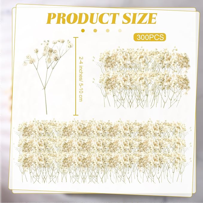 Fumete 300 Pcs Christmas Mini Dried Baby Breath Flowers Wedding Ivory Natural Flowers Bulk Dried Gypsophila for Vase Bride Shower Invitation Card DIY Candle Making Decor Craft Party Resin Art, 2-4 in