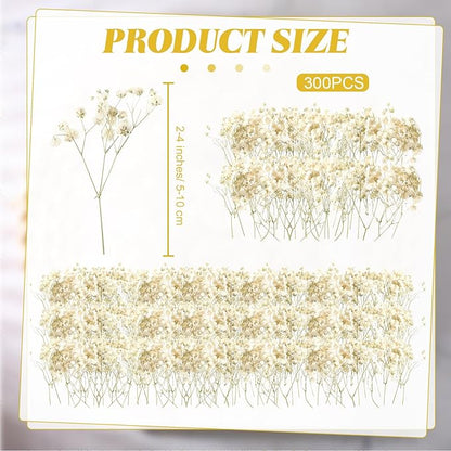 Fumete 300 Pcs Christmas Mini Dried Baby Breath Flowers Wedding Ivory Natural Flowers Bulk Dried Gypsophila for Vase Bride Shower Invitation Card DIY Candle Making Decor Craft Party Resin Art, 2-4 in