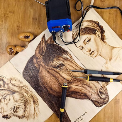 FIRElood LH55-2-3 Wood Burner kit Wood Burning Tool Pen 25~750℃, Wood Burning kit with Digital Thermometer Temperature Adjustable Temperature, 3 pyrographic Wood Burning pens, 37 Wood Burning Pen Tips