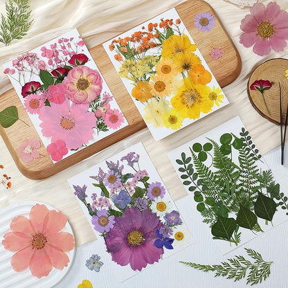 85Pcs Colorful Pressed Flowers for Crafts, Natural Dried Flowers for Crafts Real Dried Pressed Flowers Dry Leaves for Resin, DIY Art, Scrapbook, Nails Decor, Jewelry, Candle & Soap Making, w/ Tweezer
