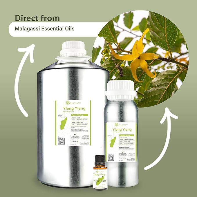 Nature Packaged Ylang Ylang Essential Oil - Direct from Malagassi Essential Oils Madagascar - Steam Distilled - Aceite de Ylang Ylang for Aromatherapy, Diffuser, DIY Candle and Soap Making - 8oz