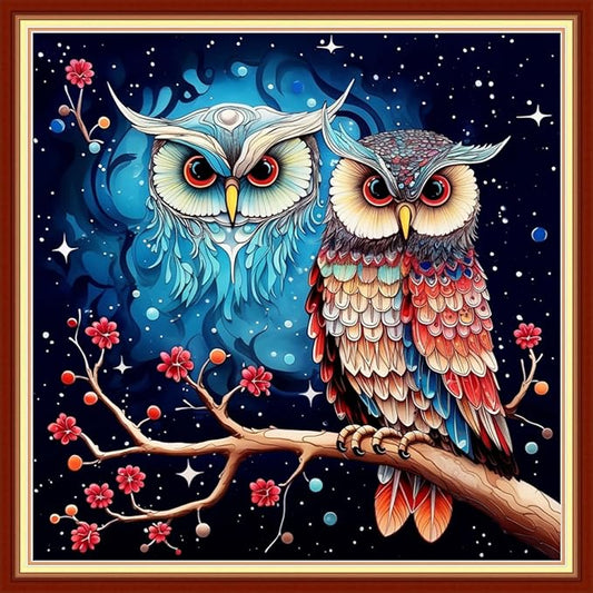 Foxdiviy Stamped Cross Stitch Kits Full Range of Embroidery Needlework Starter Kits for Beginners Adults 11CT Embroidery Patterns Art Crafts DIY Needlepoint Kits-Colorful Owl 18x18 inch