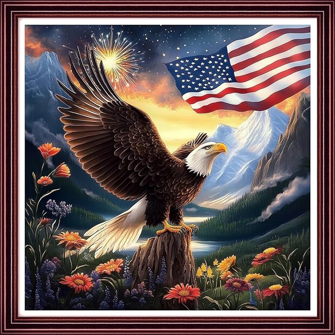 DMCCRAFT Stamped Cross Stitch Kits for Adults 11CT Printed Cross-Stitch Patterns Embroidery Kits Easy Cross Stitching Needlepoint Kits Crossstitch-Eagle Fireworks National Flag 18x18 inch