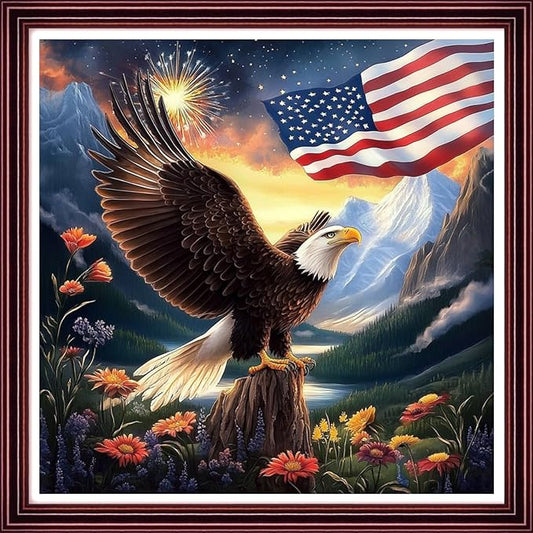 DMCCRAFT Stamped Cross Stitch Kits for Adults 11CT Printed Cross-Stitch Patterns Embroidery Kits Easy Cross Stitching Needlepoint Kits Crossstitch-Eagle Fireworks National Flag 18x18 inch