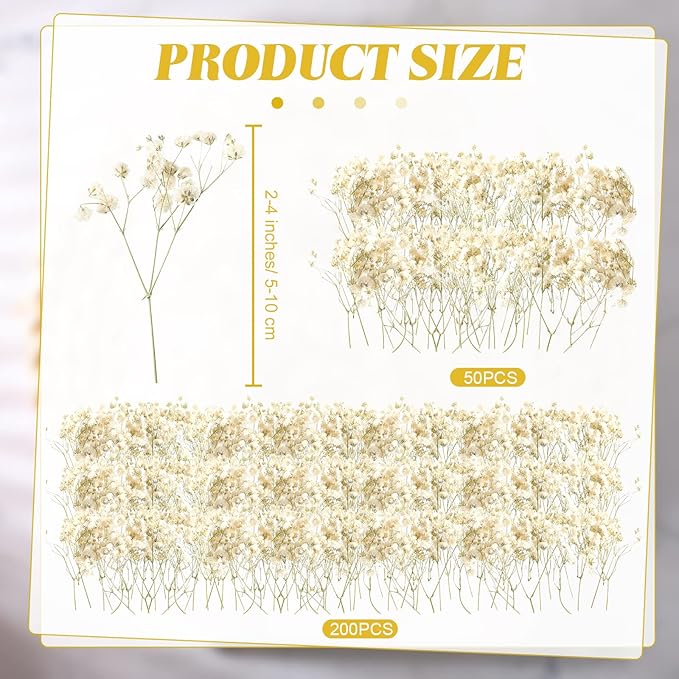 Fumete 200 Pcs Christmas Mini Dried Baby Breath Flowers Wedding Ivory Natural Flowers Bulk Dried Gypsophila for Vase Bride Shower Invitation Card DIY Candle Making Decor Craft Party Resin Art, 2-4 in