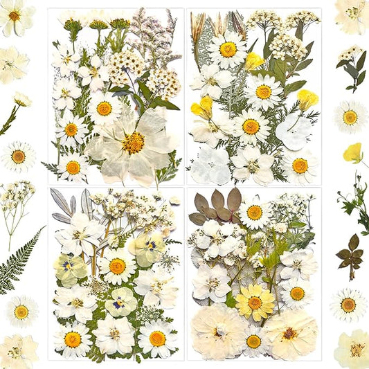 90Pcs White Dried Pressed Flowers for Resin Molds, Real Natural Bulk Dry Floral Leaves for DIY Art Crafts, Epoxy Jewelry, Candle, Soap Making, Nails Decors Gifts