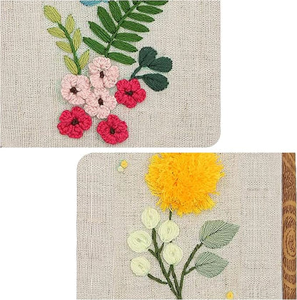 Maydear 3 Pack Embroidery Starter Kit with Pattern, Stamped Cross Stitch Kits for Beginners Adults with Embroidery Hoop and Instructions, Hand Embroidery Kit (B Set Embroidery Starter Kit)