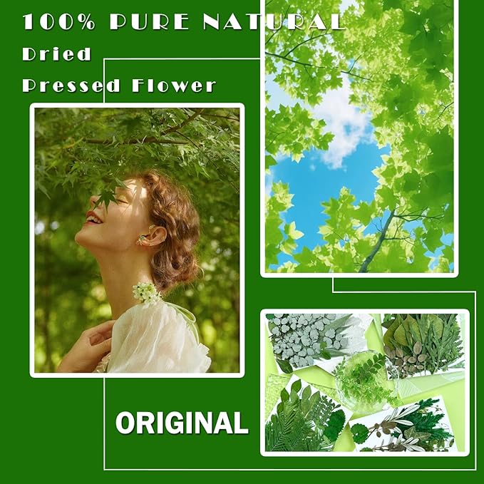 84Pcs Pressed Dried Leaves for Resin Molds, Assorted Real Natural Bulk Dry Flowers for DIY Art Crafts, Epoxy Jewelry, Candle, Soap Making, Nails Decors Gifts