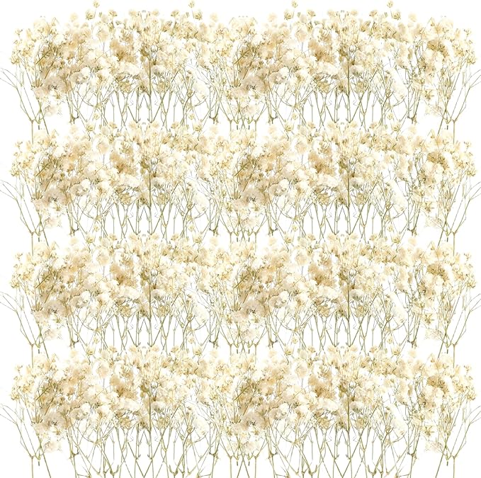 Fumete 200 Pcs Christmas Mini Dried Baby Breath Flowers Wedding Ivory Natural Flowers Bulk Dried Gypsophila for Vase Bride Shower Invitation Card DIY Candle Making Decor Craft Party Resin Art, 2-4 in