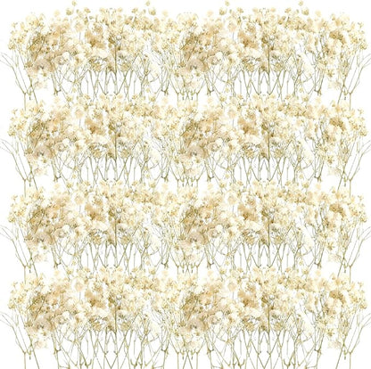 Fumete 50 Pcs Christmas Mini Dried Baby Breath Flowers Wedding Ivory Natural Flowers Bulk Dried Gypsophila for Vase Bride Shower Invitation Card DIY Candle Making Decor Craft Party Resin Art, 2-4 in