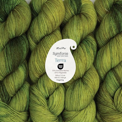 KnitPro Symfonie Hand Dyed Yarn | Extra Fine Merino Wool & Polyamide Blend for Knitting & Crocheting, Fingering Weight, Oeko-TEX Certified 400m, 100g Skein | Terra Variegated Macha