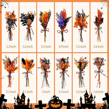 10/12/24/36 Pack Mini Dried Flowers for Vase Wedding Various Mini Bouquet Dried Small Wildflowers Natural Flowers Bulk for Crafts DIY Decor (12, Orange Black 1)