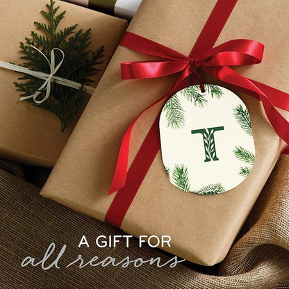 Thymes Frasier Fir Reed Diffuser Set – Includes Reeds, Fragrance Oil, and Frosted Glass Bottle – Fragrance Oil Diffuser – Room Fresheners – Luxury Home Decor – Green & Clear (Pine Needle, 4 fl oz)