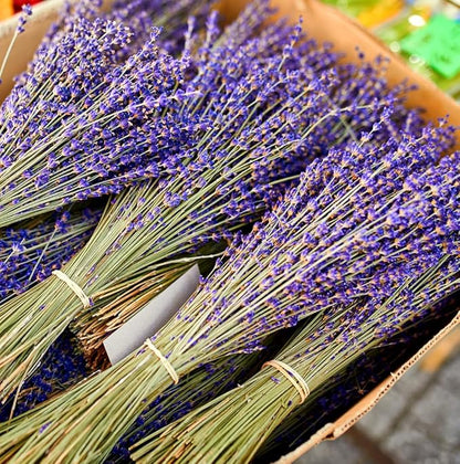 Nature Packaged Lavender Oil - Bulgarian Essential Oils - Lavender Diffuser - Pure Therapeutic Grade (22lbs)