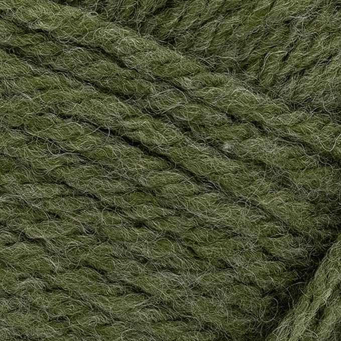 Lion Brand Yarn, Hue + Me Chunky Yarn for Crocheting, Knitting, and Crafts, Moss, 1 Pack