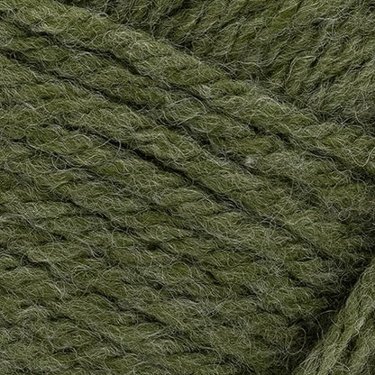 Lion Brand Yarn, Hue + Me Chunky Yarn for Crocheting, Knitting, and Crafts, Moss, 1 Pack
