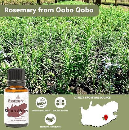 Nature Packaged Rosemary Essential Oil - Direct from Qobo Qobo South Africa - Steam Distilled - Aceite Esencial de Romero for Aromatherapy, Massage, Diffuser, DIY Candle and Soap Making - 15ml