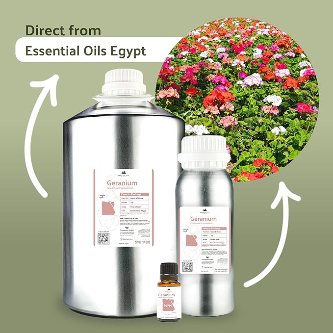 Nature Packaged Geranium Essential Oil - Direct from Egypt Nile Delta - Pure Essential Oils for Body, Skincare & Balance - Natural Aceite de Geranio - 100% Pure Therapeutic Grade (15ml)