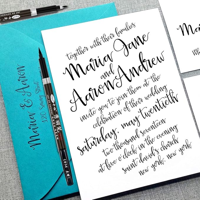 Rilanmit Calligraphy Pens Set for Beginners, Hand Lettering Pens Brush Drawing Markers Kits Chinese Japenese Pens Black Ink for Journaling, Writing, Art Drawing, 3 Size(Pack of 6)