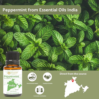 Nature Packaged Peppermint Essential Oil - Direct from Norex Flavours India - Steam Distilled - Aceite Esencial de Menta for Aromatherapy, Massage, Diffuser, DIY Candle and Soap Making - 2lbs