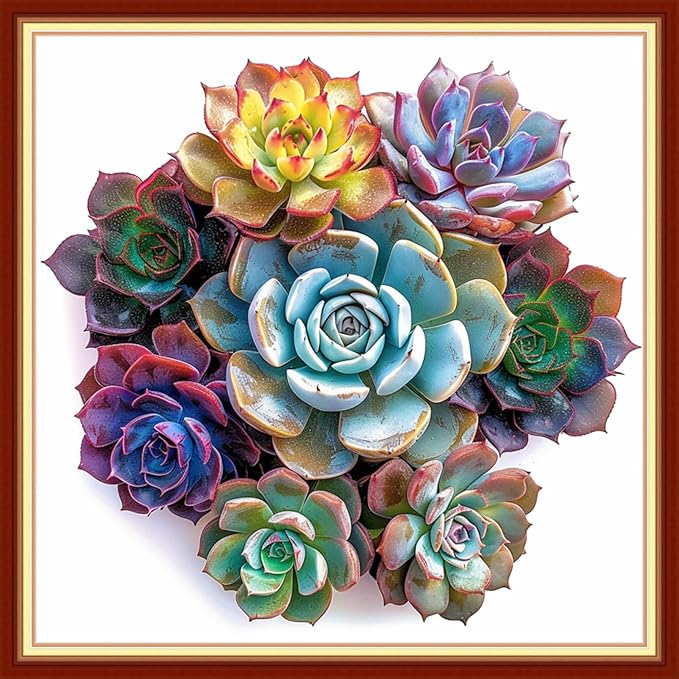 Dimensean Stamped Cross Stitch Kits Full Range of Embroidery Patterns Starter Kits for Beginners Adult DIY Cross Stitches Needlepoint Kits 11CT-Succulent Plants 18x18 inch