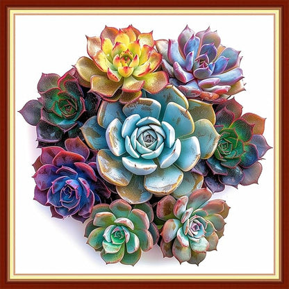 Dimensean Stamped Cross Stitch Kits Full Range of Embroidery Patterns Starter Kits for Beginners Adult DIY Cross Stitches Needlepoint Kits 11CT-Succulent Plants 18x18 inch