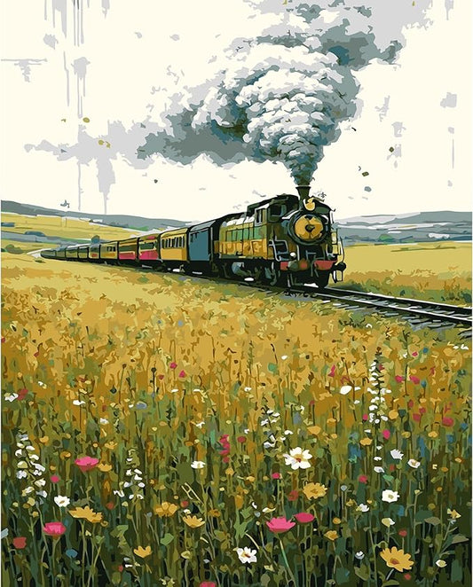 DFPSCLLA Paint by Numbers for Adults, Steam Train in Wildflower Field DIY Paint by Numbers Acrylic Paint Canvas, Painting Kits Art on Canvas for Home Wall Art 16x20 Inch（Without Frame）