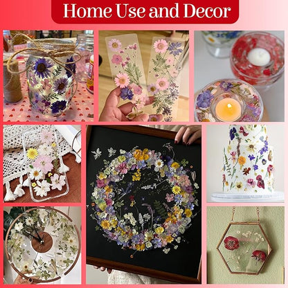85Pcs Pressed Flowers for Crafts, Real Dried Flowers for Crafts Dried Pressed Flowers Dry Leaves in Red, White, Pink & Purple for Resin, DIY Art, Scrapbook, Jewelry, Candle & Soap Making with Tweezer