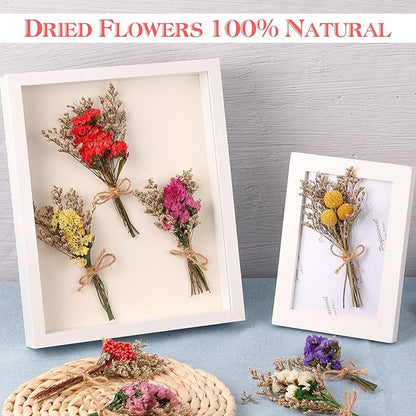 10 Pack Forget Me Not Dried Flowers Bouquets Natural Dry Flower with Stem Mini Dried Embossing Flower Dry Floral Arrangement for Vase, Crafts, Table Centerpieces, DIY, Photo Prop, Wedding, Home Decor