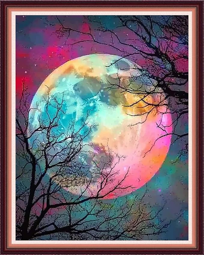 Fanxvivy Stamped Cross Stitch Kits for Beginners Full Range of Cross Stitching Preprinted Embroidery Kits for Adults, 11CT Embroidery Pattern Needlepoint Kits-Magical Moonlight 16x20 inch