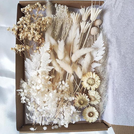 DIY Natural Dried Flowers Kit for Crafts - Box of Multi-Color Dried Flower Kit Perfect for Home Decor, Wedding Decor, DIY Wreath & Bouquet, Resin, Scrapbooking, Floral Arrangement, Handcraft (White)